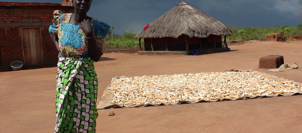 A woman standing with her arms crossed and one hand on her shoulder. Behind her is cassava being dried on the floor and a grassthatched house in the distance